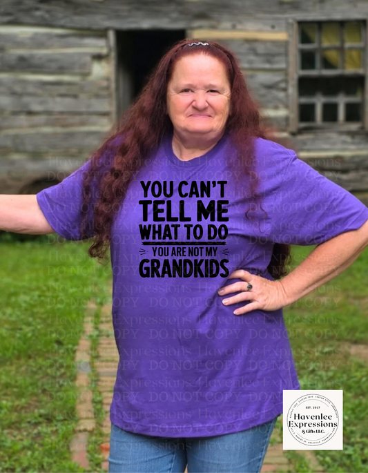 Can't Tell Me What To Do