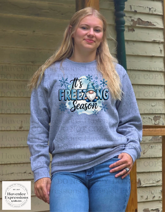 Gnome Freezing Season