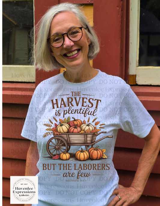 The Harvest Is Plenty